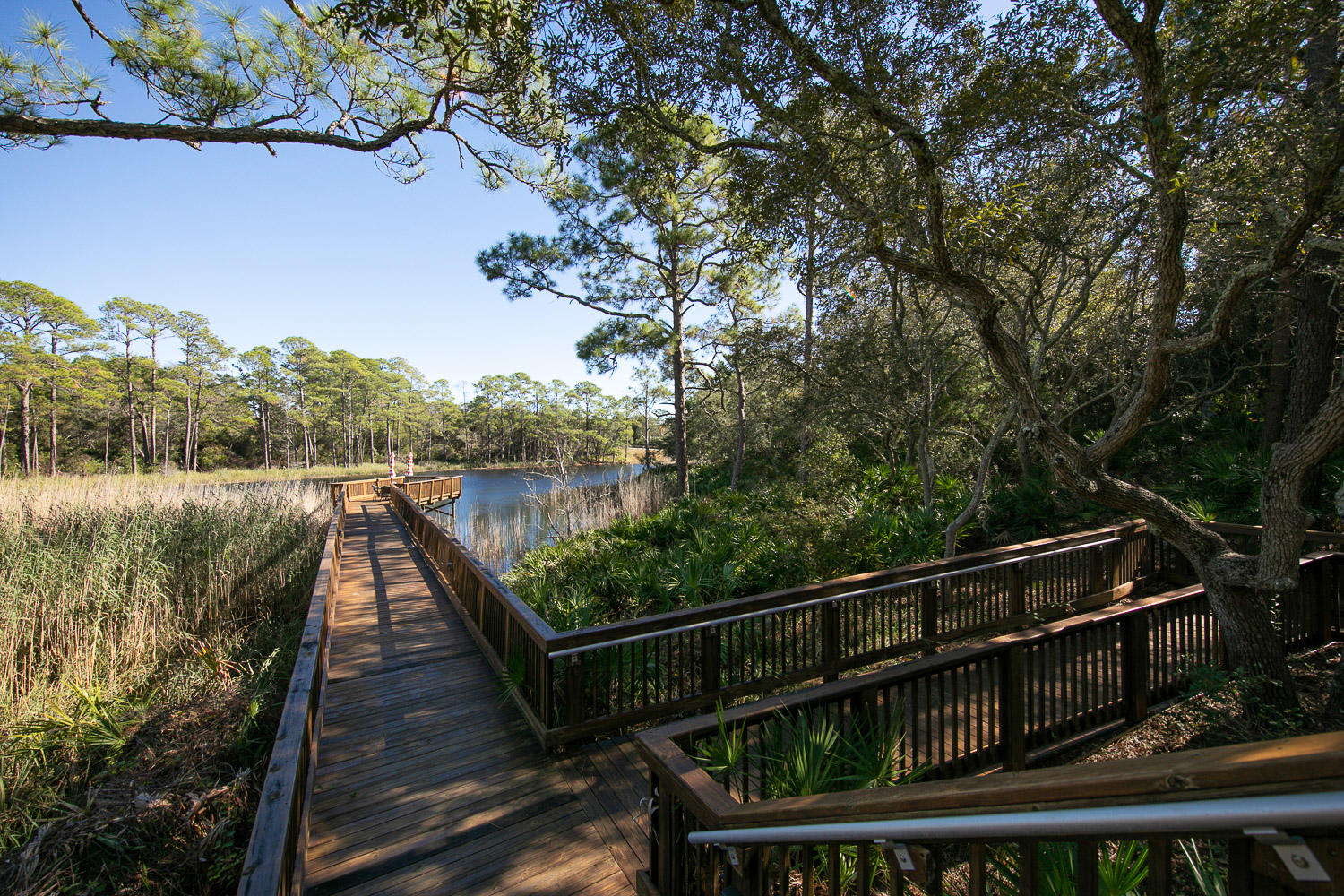 REDFISH VILLAGE - Residential