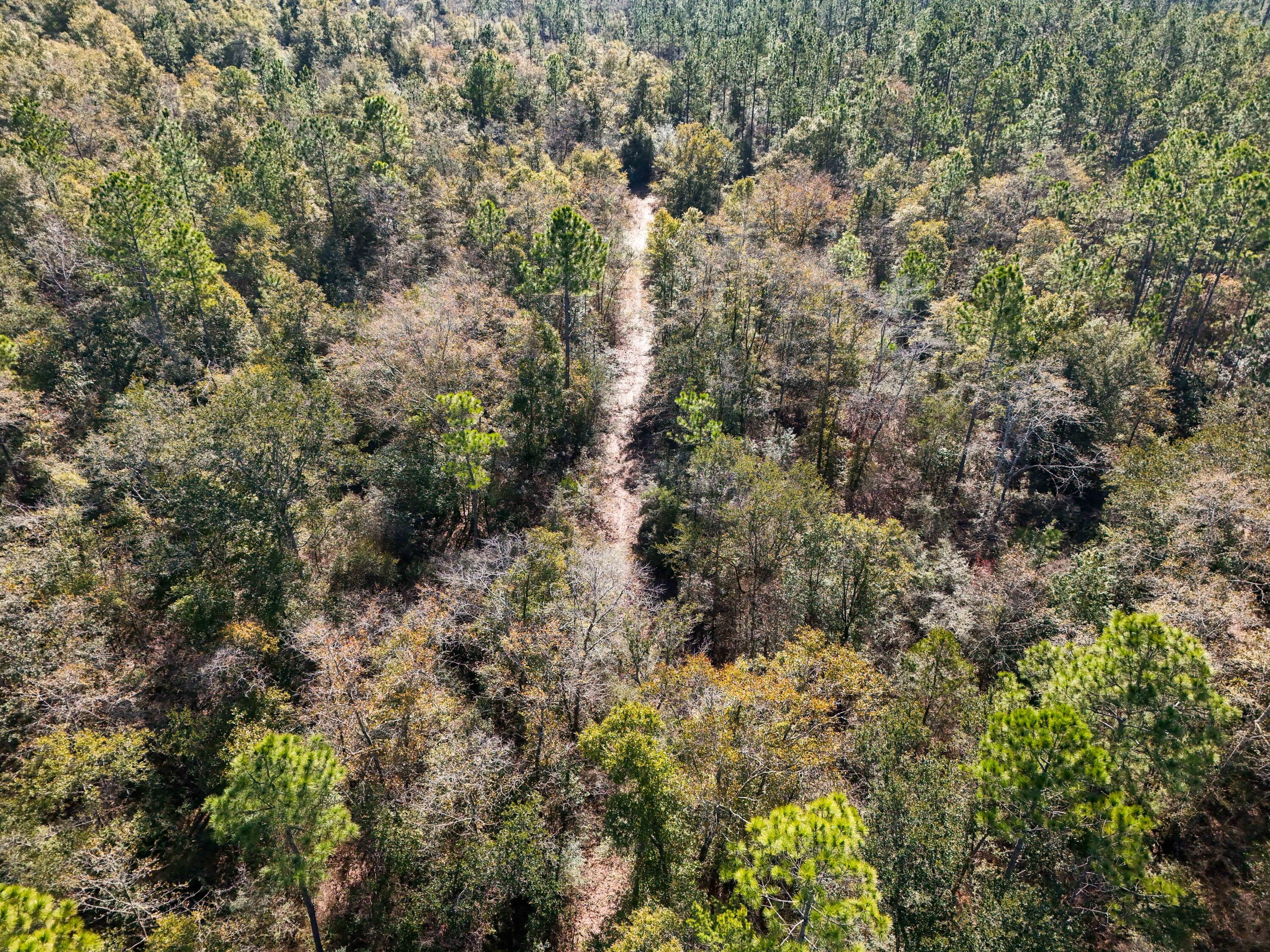 TBD E St Highway 20