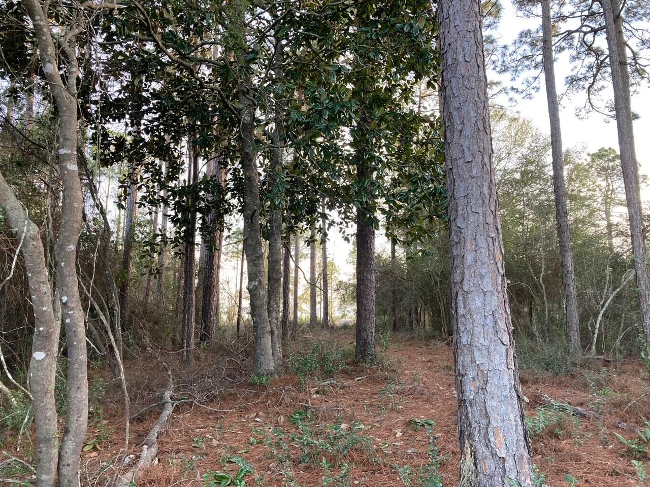 IMPERIAL LAKES - Land