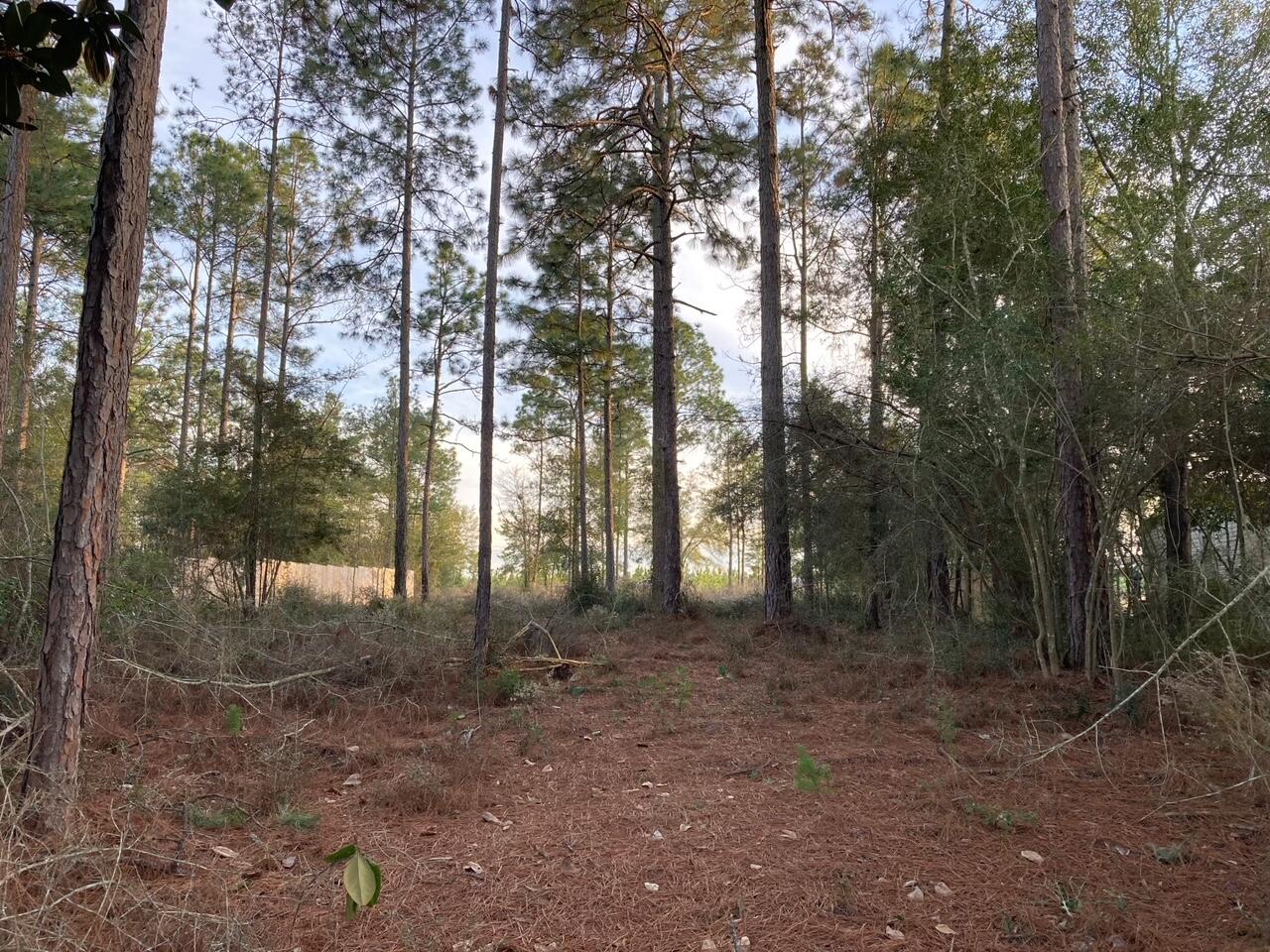 IMPERIAL LAKES - Land