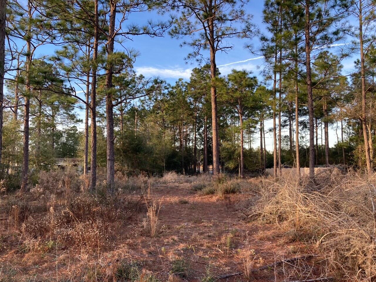 IMPERIAL LAKES - Land