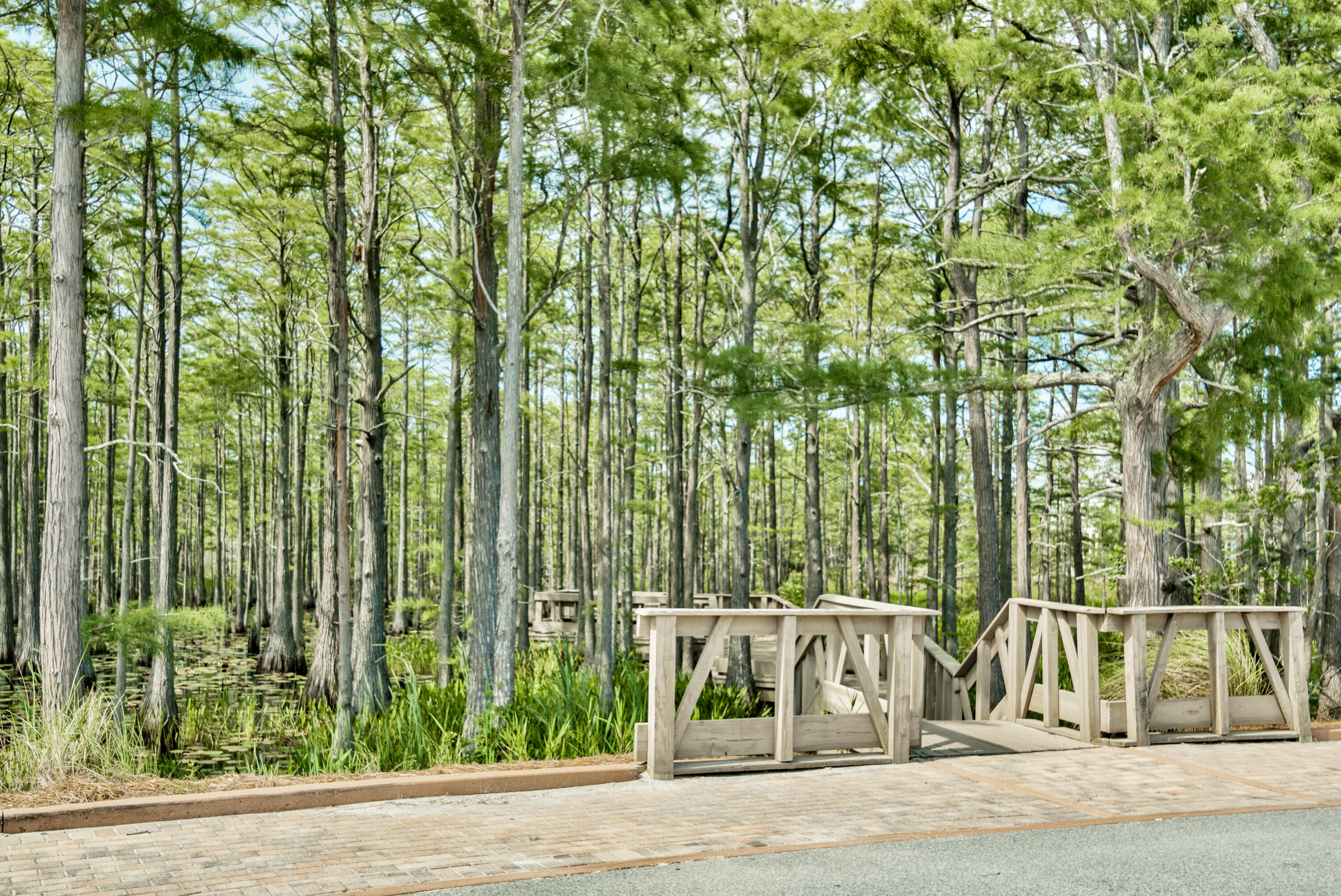 CYPRESS DUNES - Land