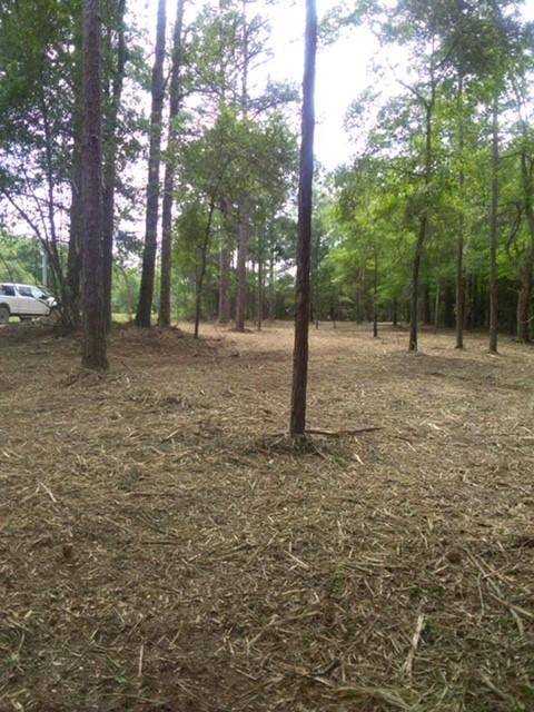 QUAIL RIDGE EST LAKES - Land