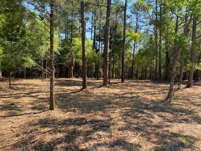 QUAIL RIDGE EST LAKES - Land