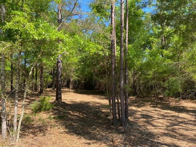 QUAIL RIDGE EST LAKES - Land