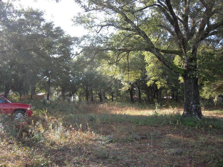 Very visible parcel on a main Niceville artery. This area is undergoing commercial growth. Traffic counts have been consistent in the 20,000 range. It is located next to a carpet store on one side and a thrift store on the other. Nearby businesses include 2 restaurants, 2 water sports related shops, several office buildings, and a bicycle store.