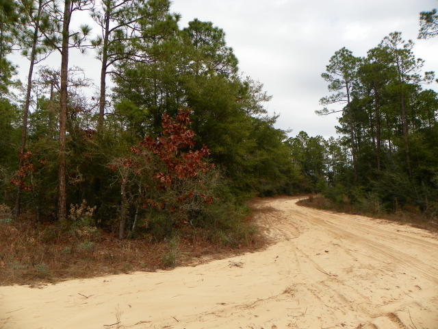 Great corner lot for new construction or mobile home! Located off of Hwy 90, close to Crestview and Niceville (Hwy 285). Perfect location with access on Eagle Way and Quince Avenue, situated on .36 acre.