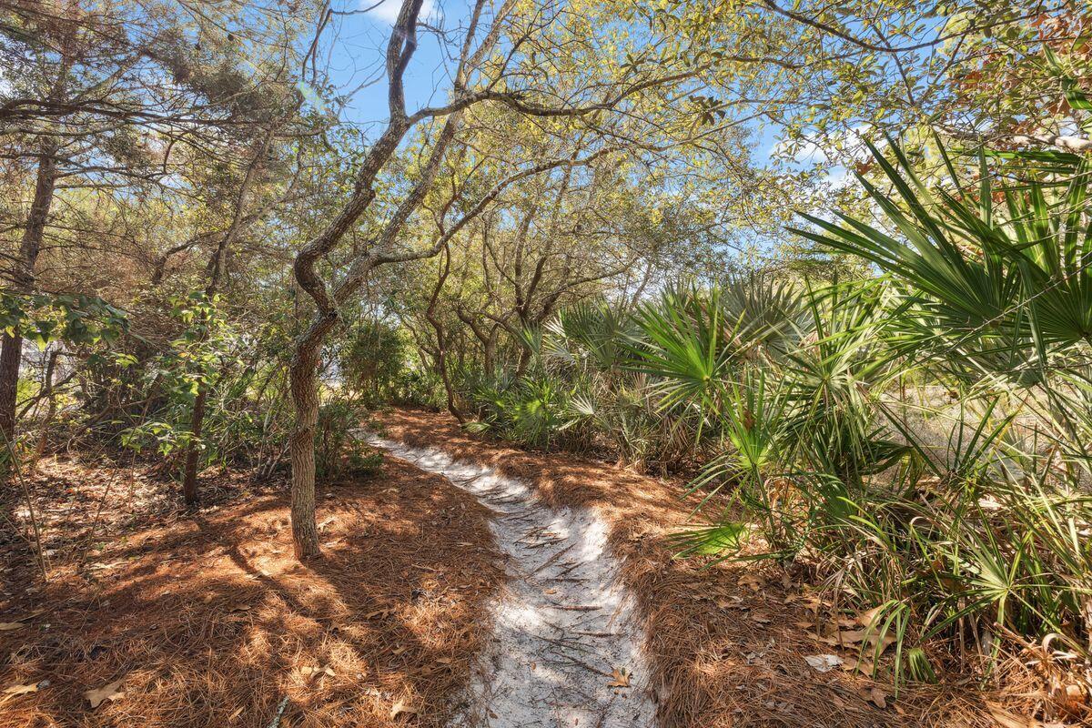 WATERSOUND BEACH - Land