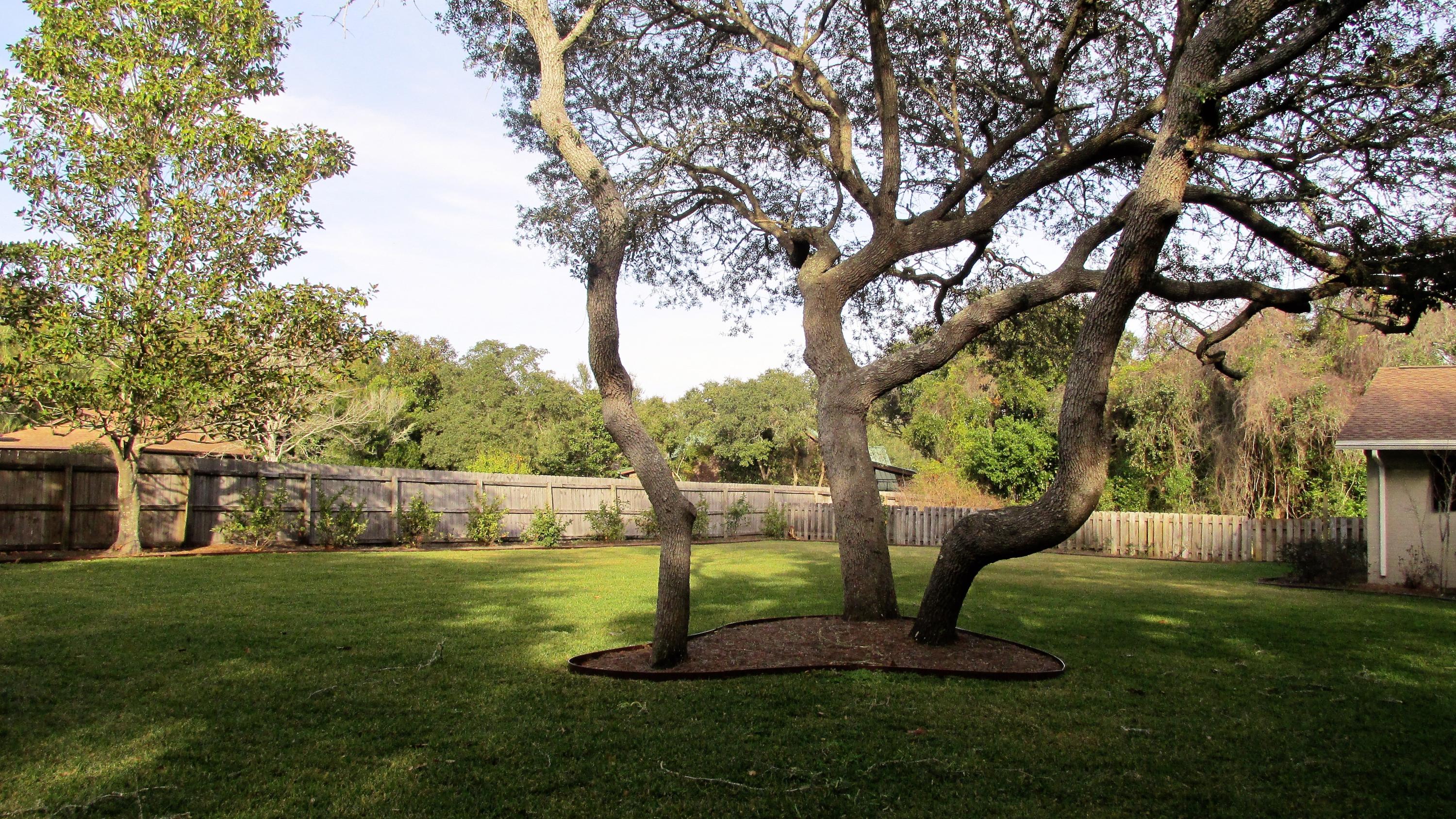 MORENO ACRES S/D - Residential Lease