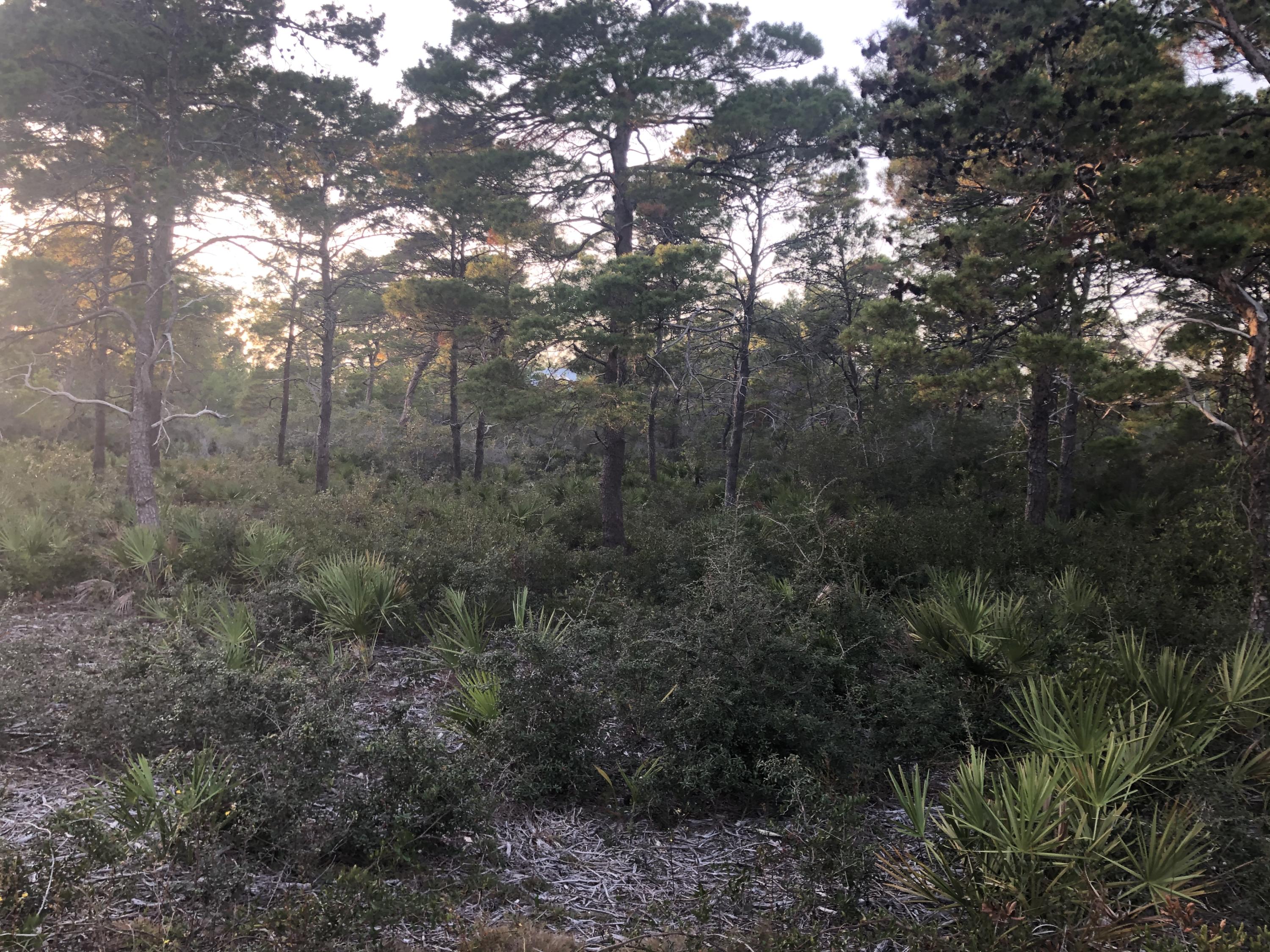 SANTA ROSA RIDGE UNIT 1 - Land