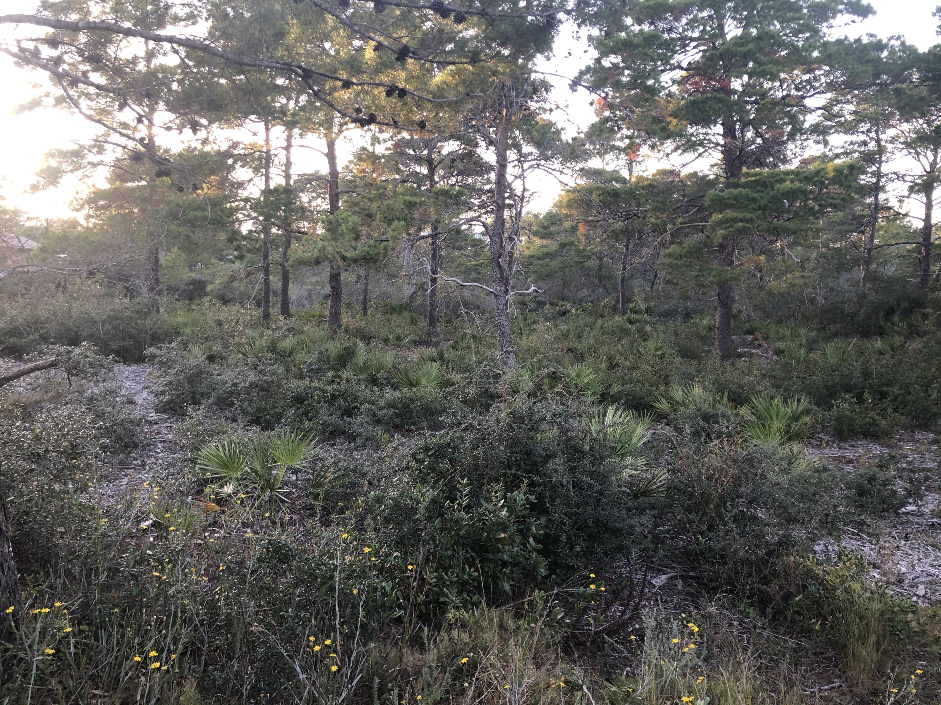 SANTA ROSA RIDGE UNIT 1 - Land