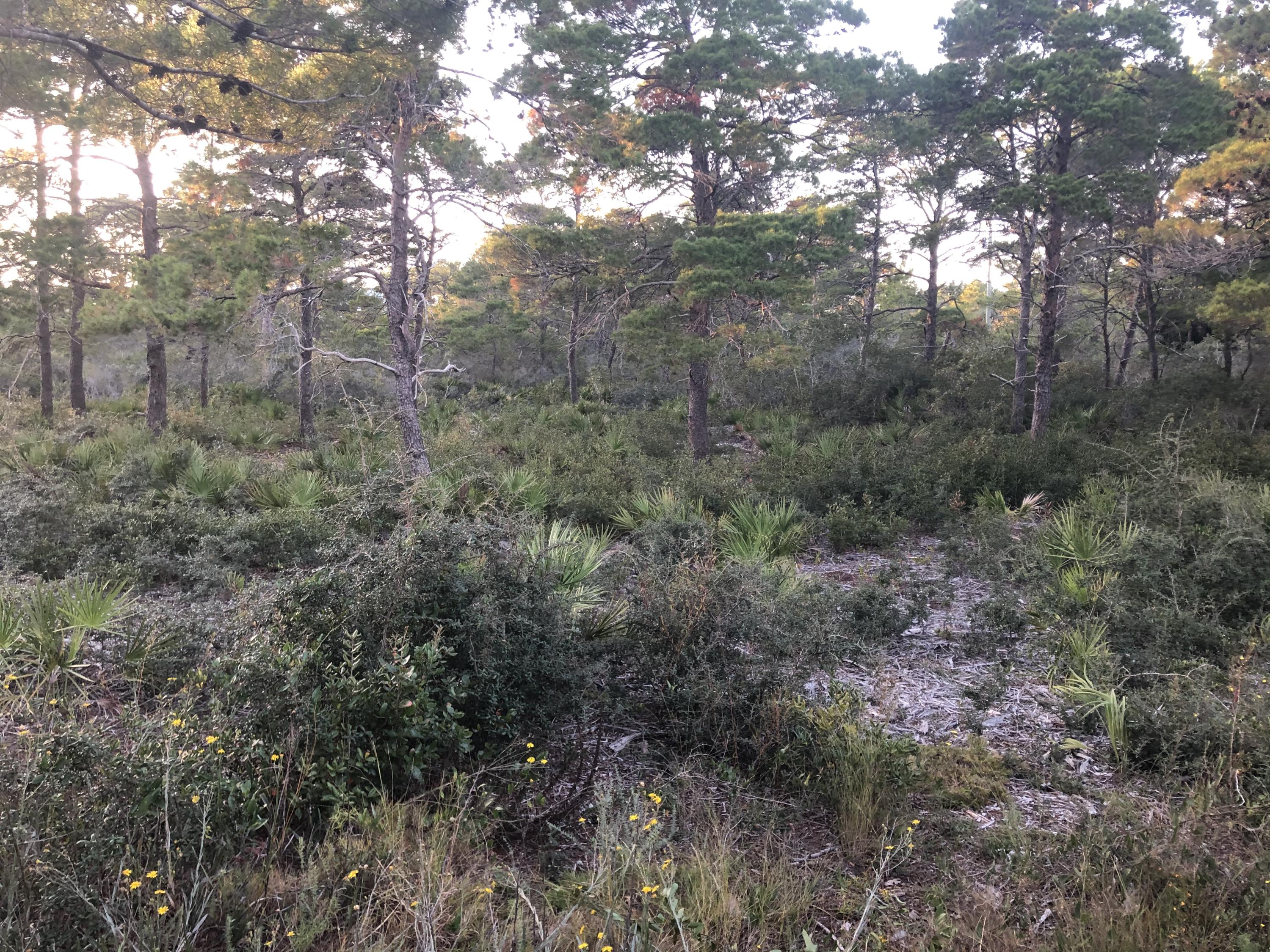 SANTA ROSA RIDGE UNIT 1 - Land