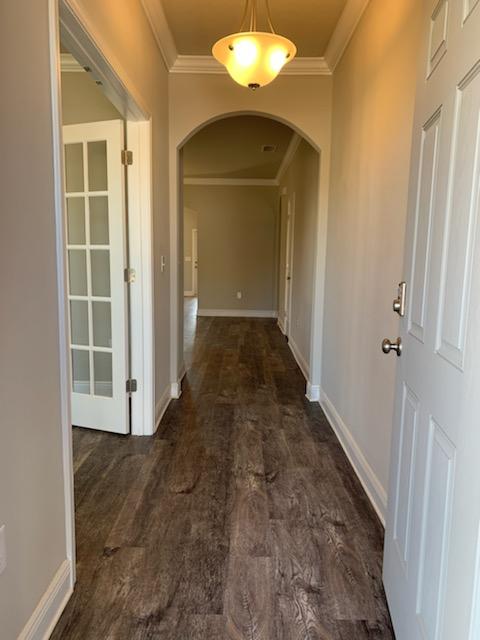 HAMMOCK BAY - CENTRAL PARK - Residential