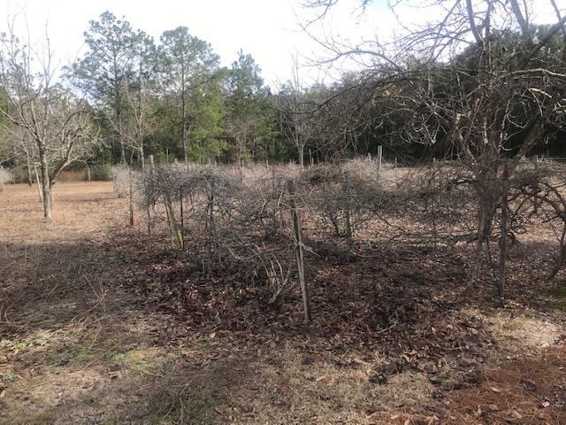 Poverty Creek area - Residential