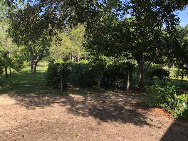 Poverty Creek area - Residential