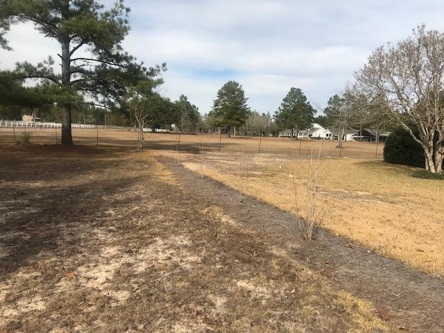 Poverty Creek area - Residential