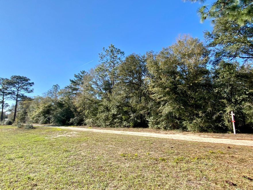 Here is your chance to own a great double lot right off highway 90. Great central location between Defuniak Springs and Mossy Head! Over a half acre there are plenty of possibilities.