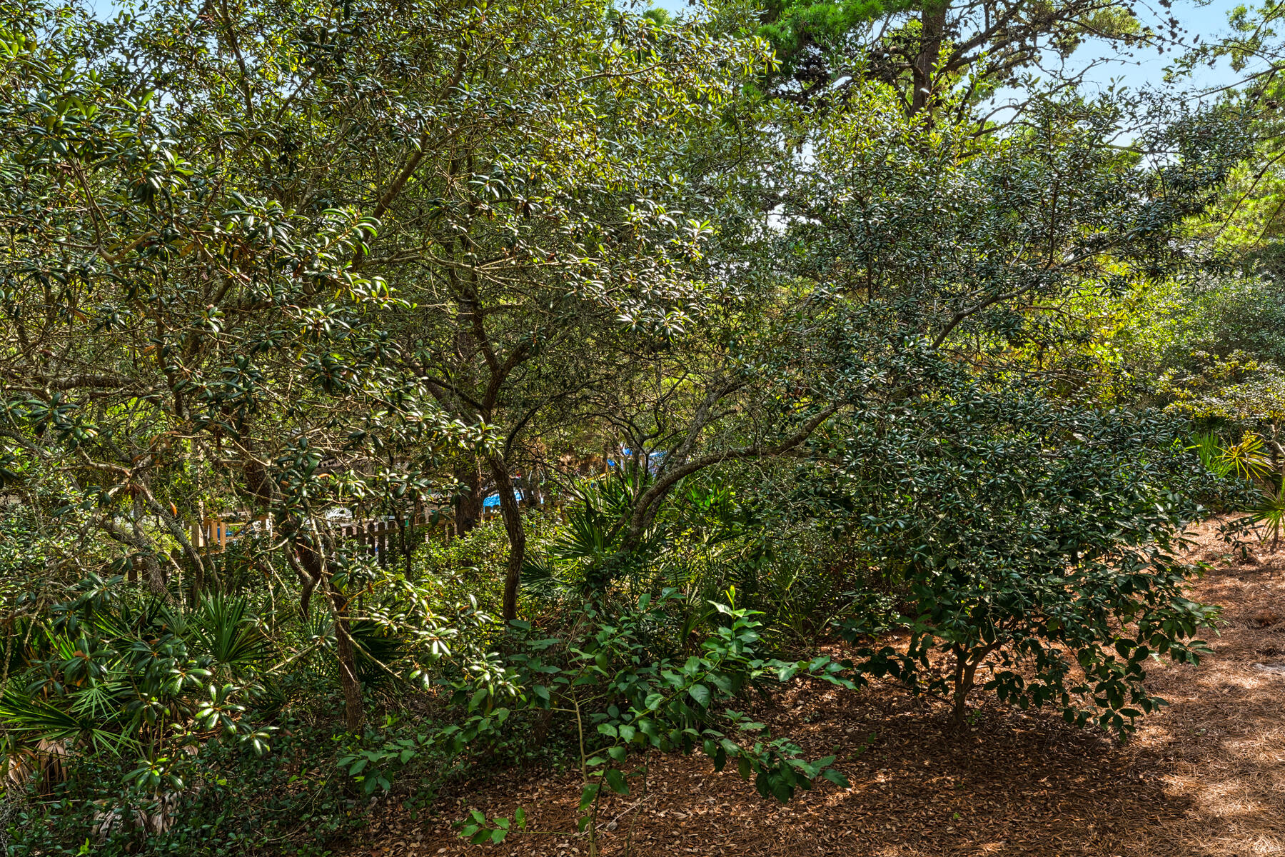 ROLLING DUNES ESTATES - Residential Lease