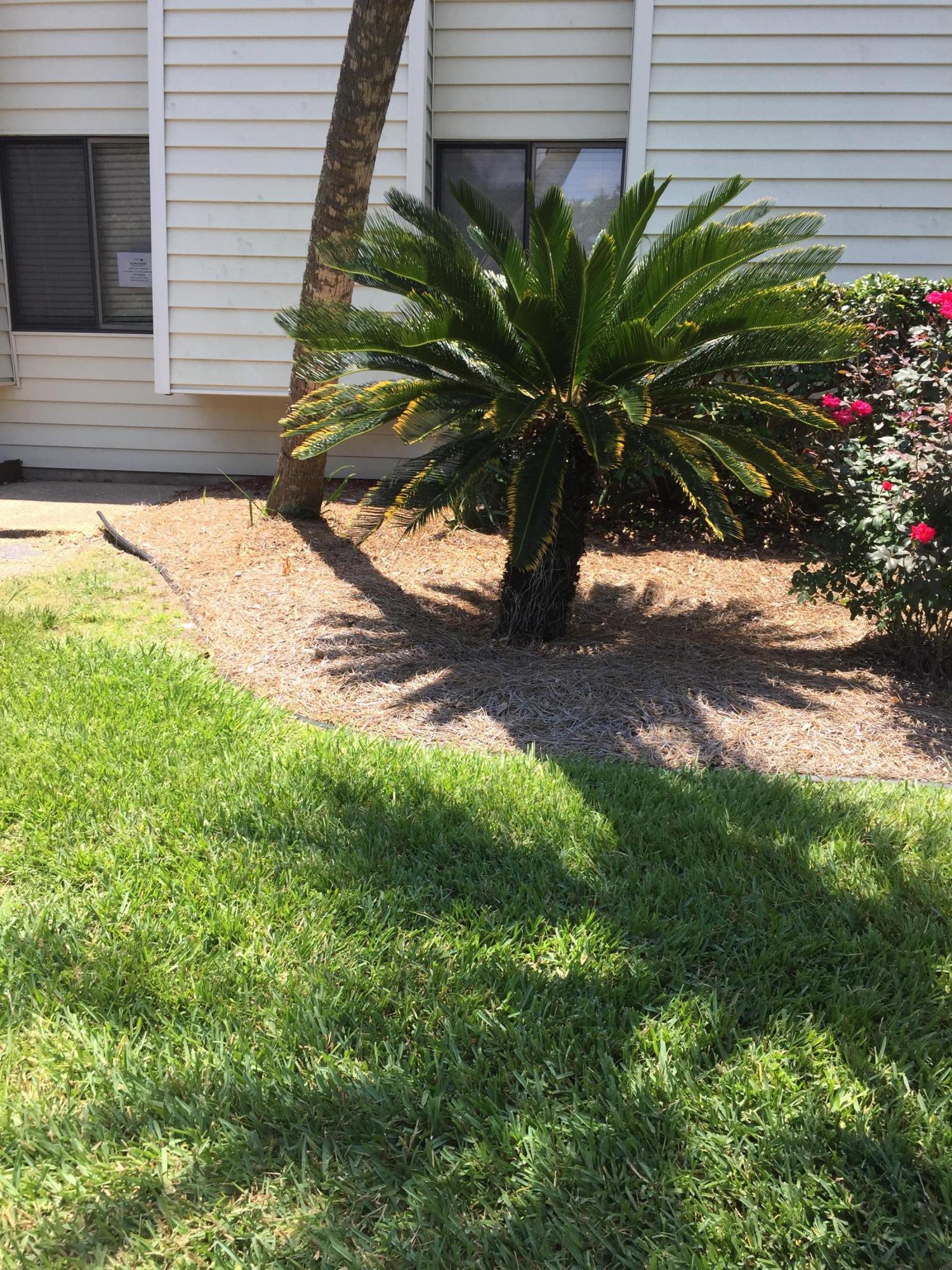 FOUNTAINHEAD CONDO - Residential