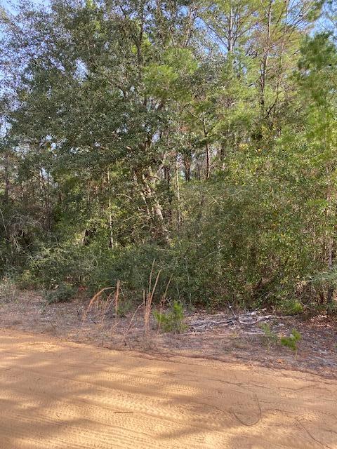 North Supergroup - Mare Creek - Land