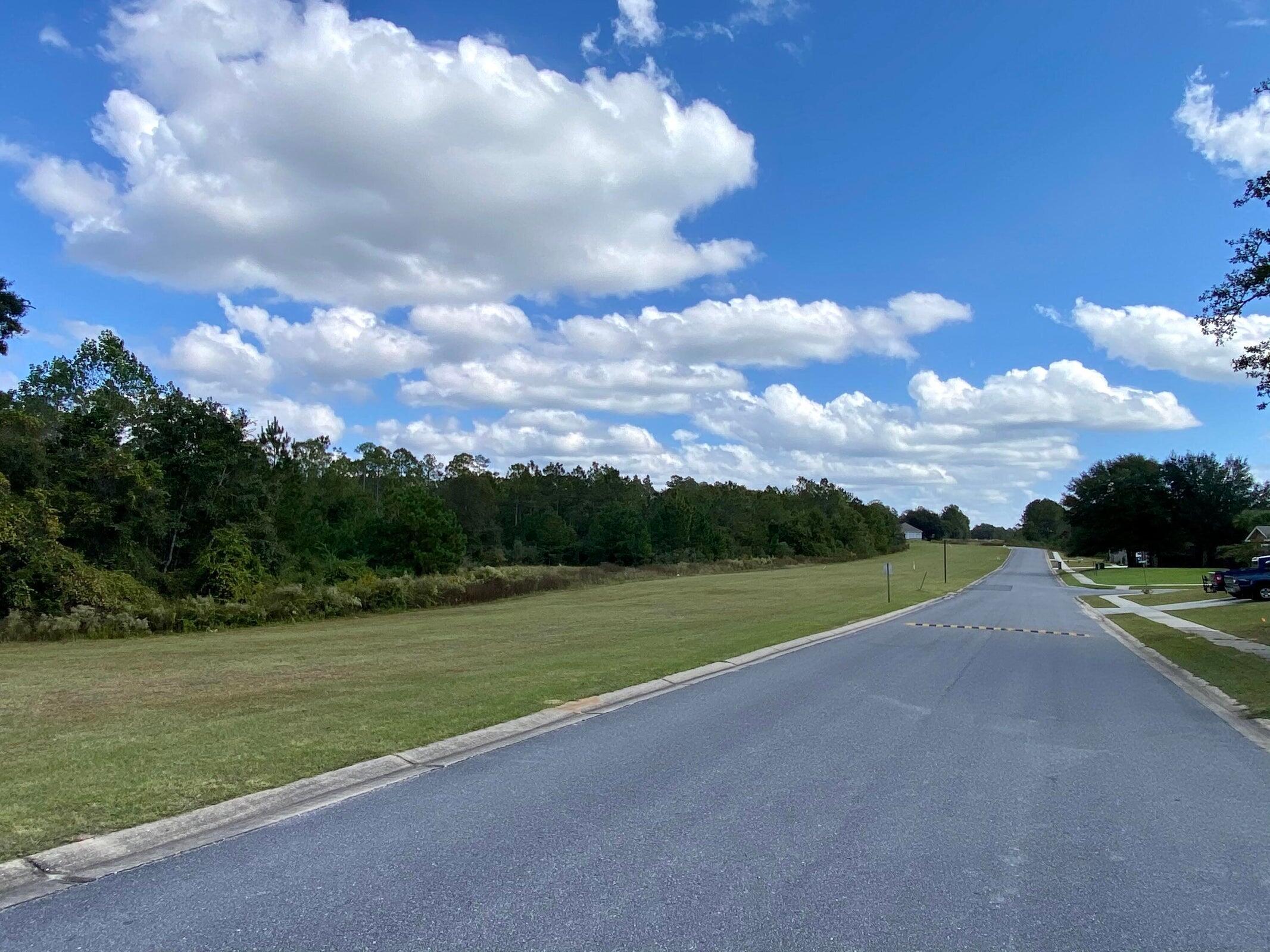 LAKE ARTHUR EST PH I - Land