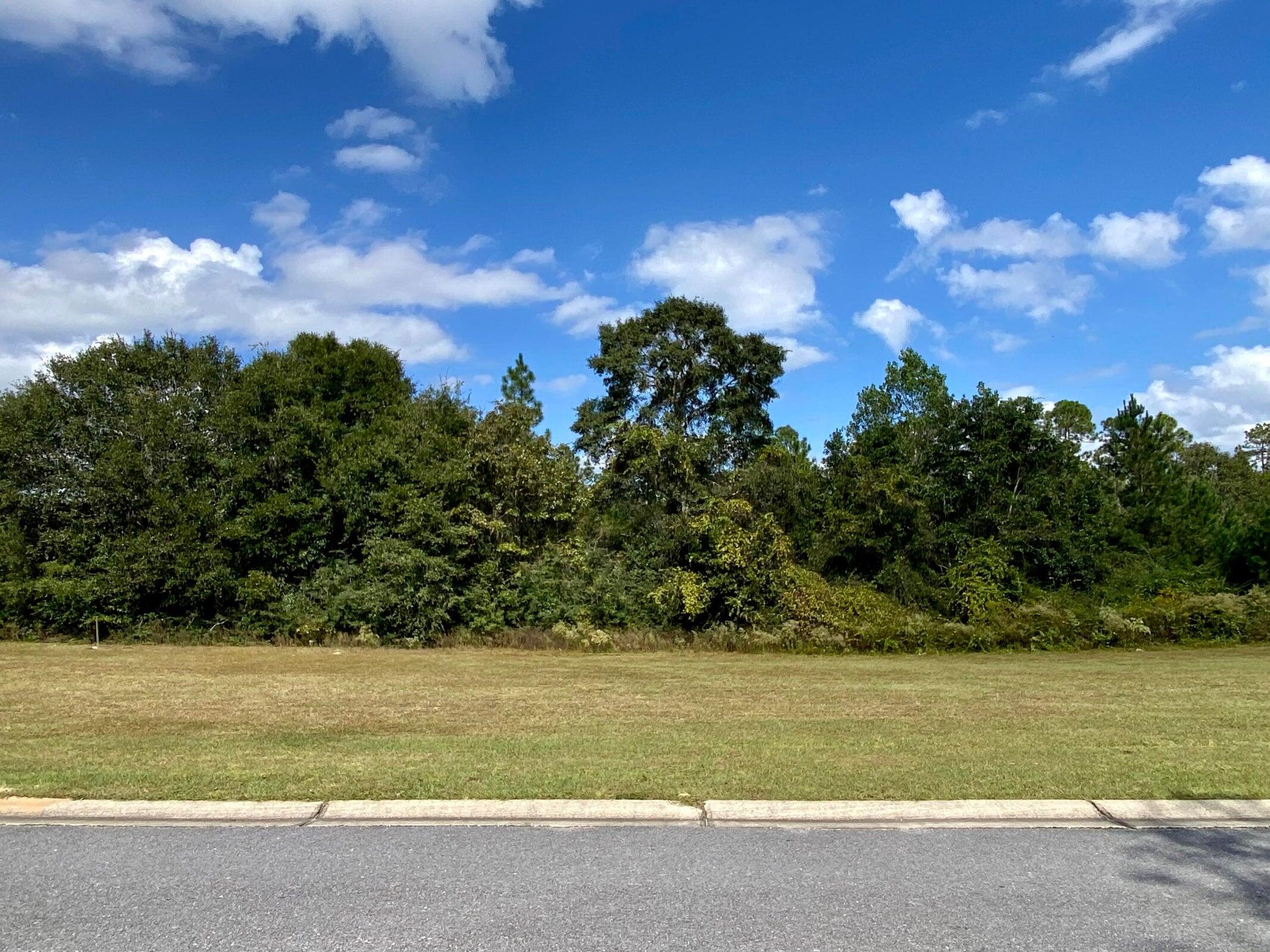 LAKE ARTHUR EST PH I - Land