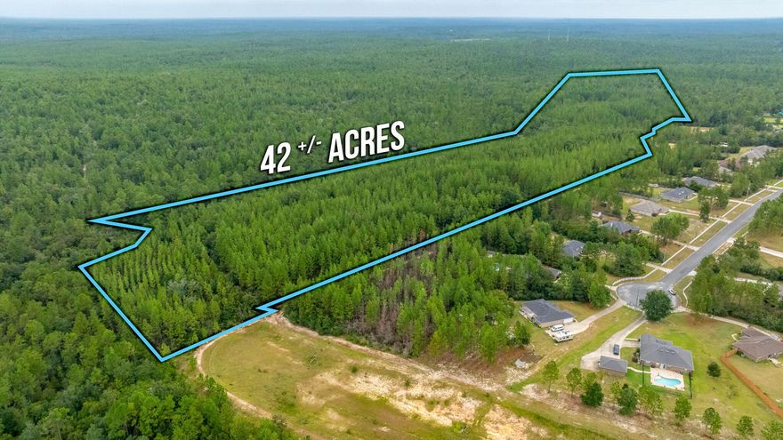 Perfect future country getaway homesite awaits you without the sacrifice of commute to the local beaches, military bases, and shopping centers. 42 acres with endless possibilities of building your home, shop, and even bring the horses.