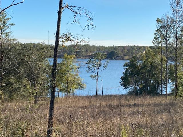 LOT 7 & 8 PINE LAKE ESTATES PHASE 1 2.7 AC ORB 531 P 440 LESS THAT PART LYING IN RIGHT OF WAY IN ORB - Land