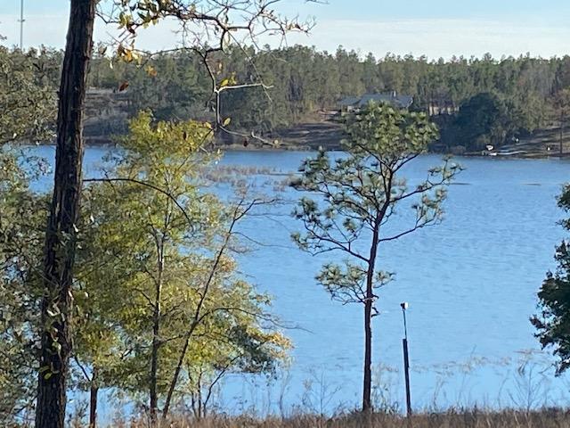 LOT 7 & 8 PINE LAKE ESTATES PHASE 1 2.7 AC ORB 531 P 440 LESS THAT PART LYING IN RIGHT OF WAY IN ORB - Land