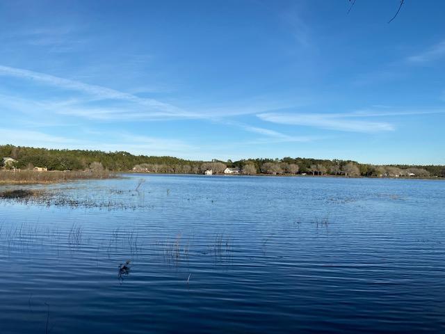 LOT 7 & 8 PINE LAKE ESTATES PHASE 1 2.7 AC ORB 531 P 440 LESS THAT PART LYING IN RIGHT OF WAY IN ORB - Land