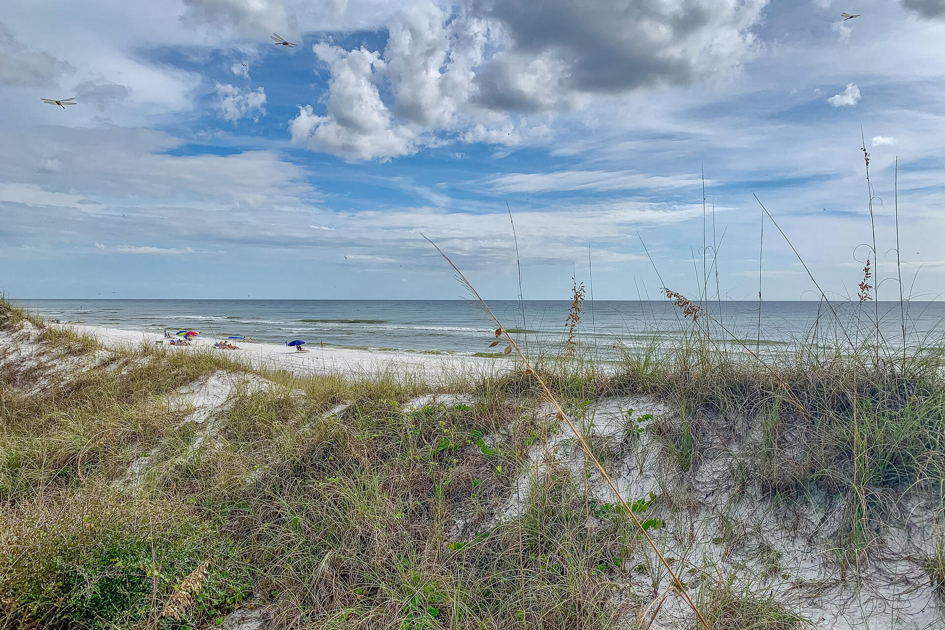 Old Florida Village - Residential