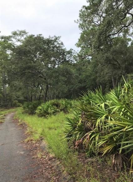 CROSS CREEK SHORES - Land