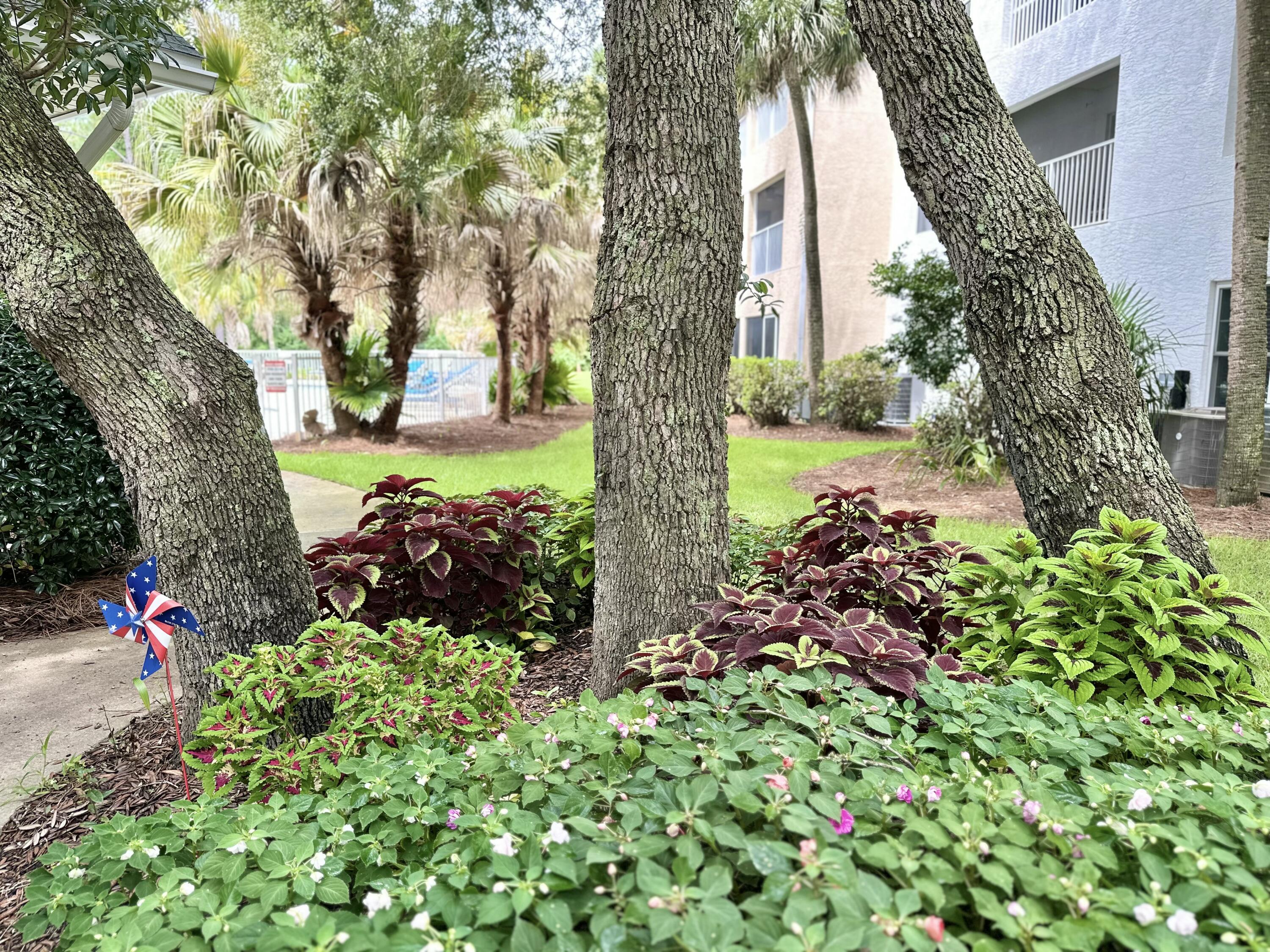 THE FLORIDA CLUB - Residential