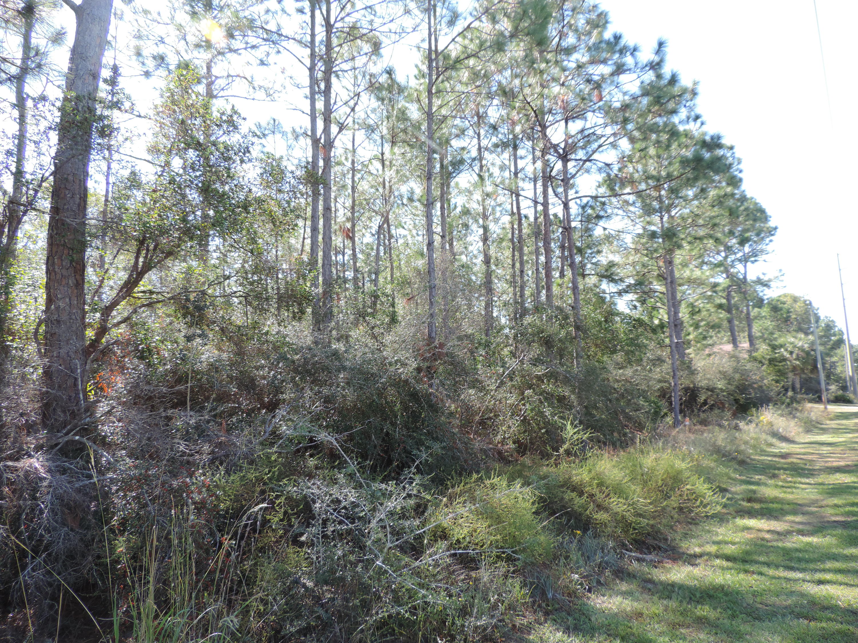 Navarre 2nd Addition - Land