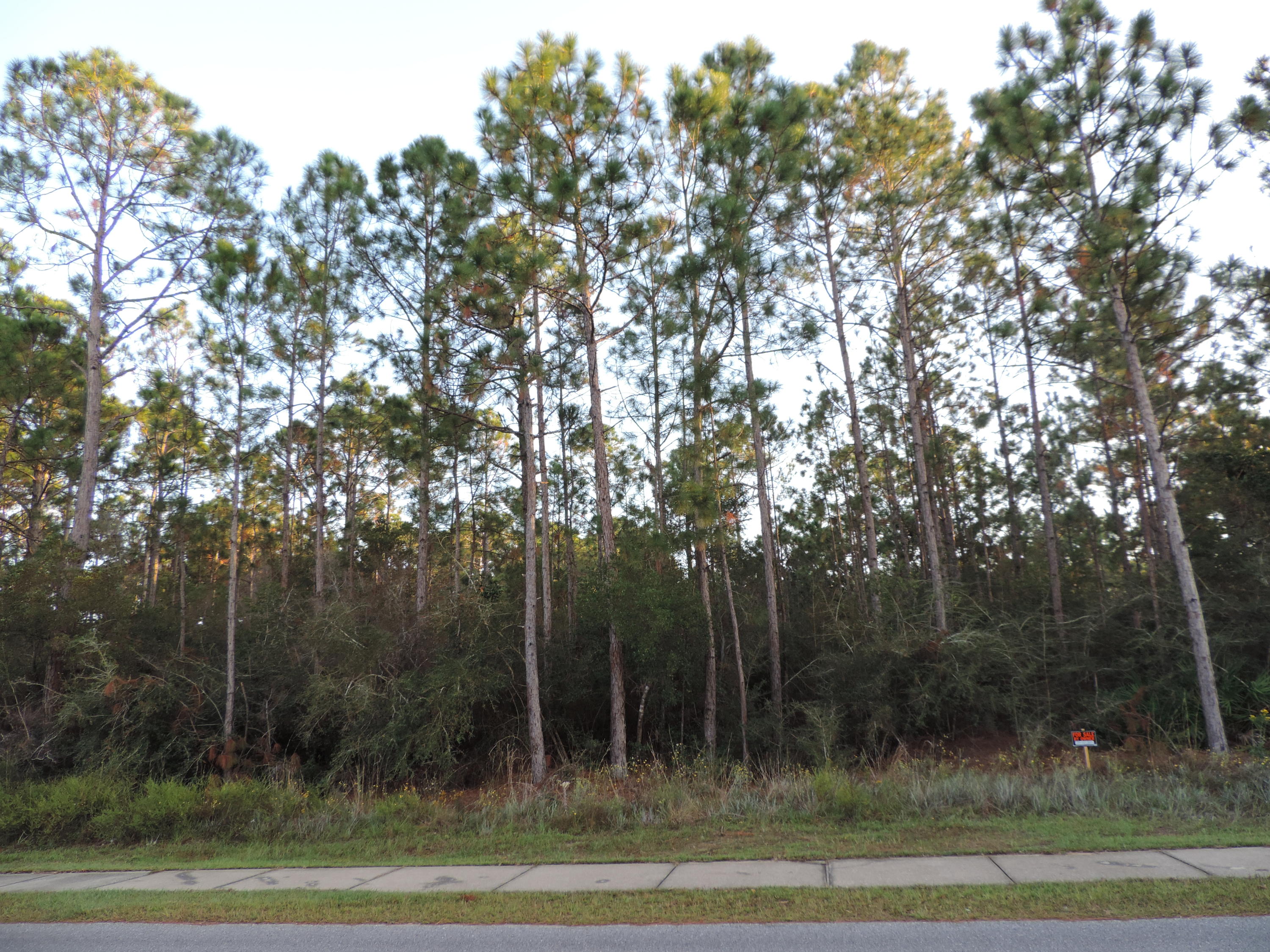 Great Location!! Minutes from Navarre Beach and the Gulf, less than 30 minutes to Hurlburt Field and a short distance to shopping, dining and schools. The lot is nearly 1/2 acre and wooded. With HNWS water and sewer going by in front no worries about a septic. The sidewalk in front makes a safe and easy walk to the nearby schools. This would be an amazing site to build your dream home on. No HOA fee's to pay, Take a look at this beauty!!