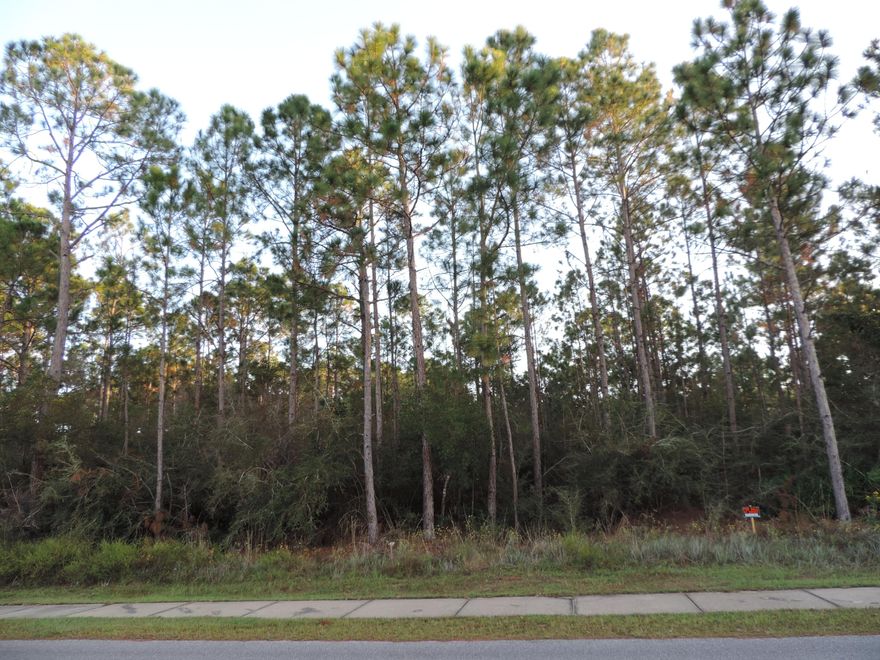 Great Location!! Minutes from Navarre Beach and the Gulf, less than 30 minutes to Hurlburt Field and a short distance to shopping, dining and schools. The lot is nearly 1/2 acre and wooded. With HNWS water and sewer going by in front no worries about a septic. The sidewalk in front makes a safe and easy walk to the nearby schools. This would be an amazing site to build your dream home on. No HOA fee's  to pay, Take a look at this beauty!!