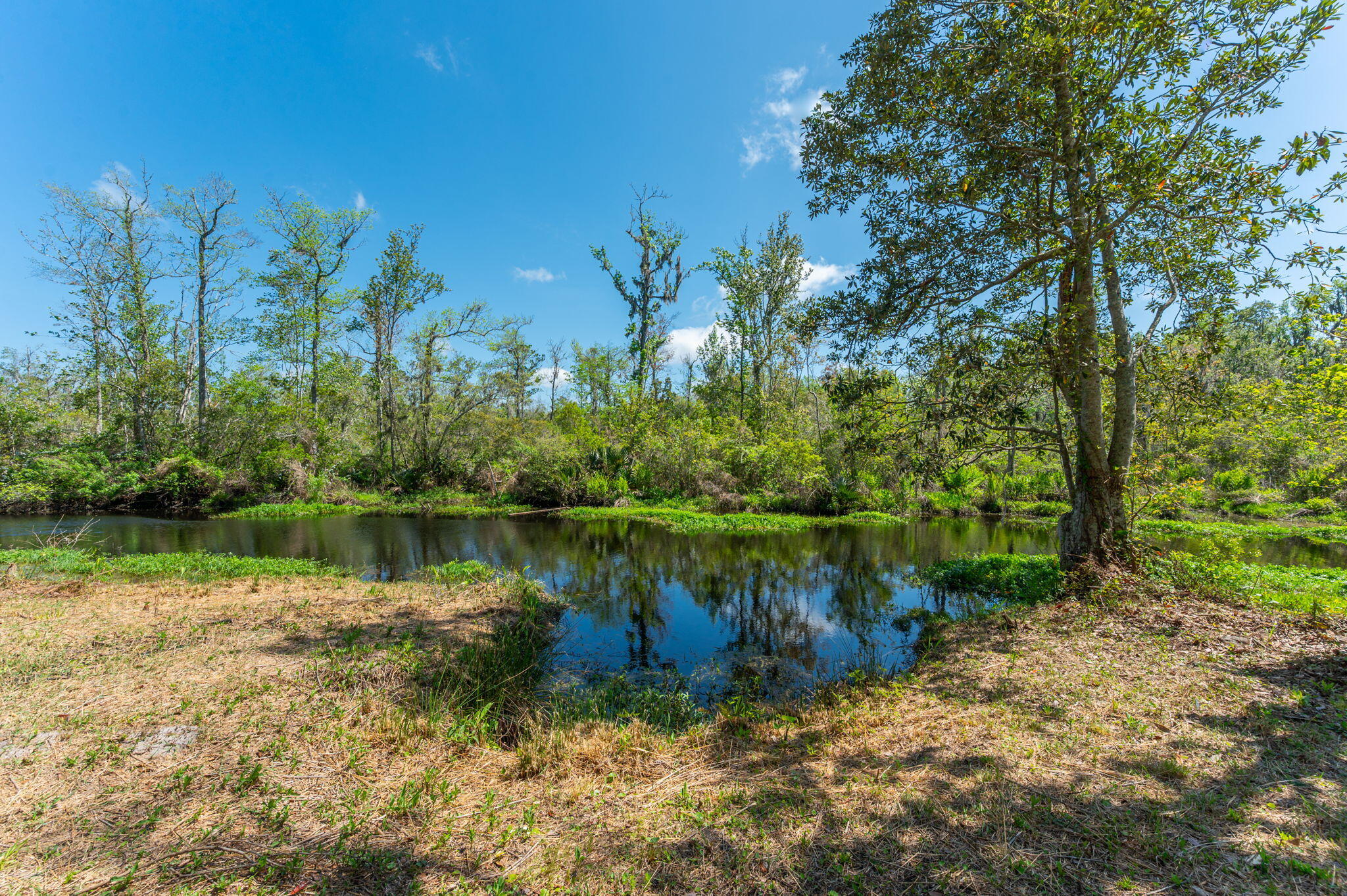 MAGNOLIA BAY - Residential