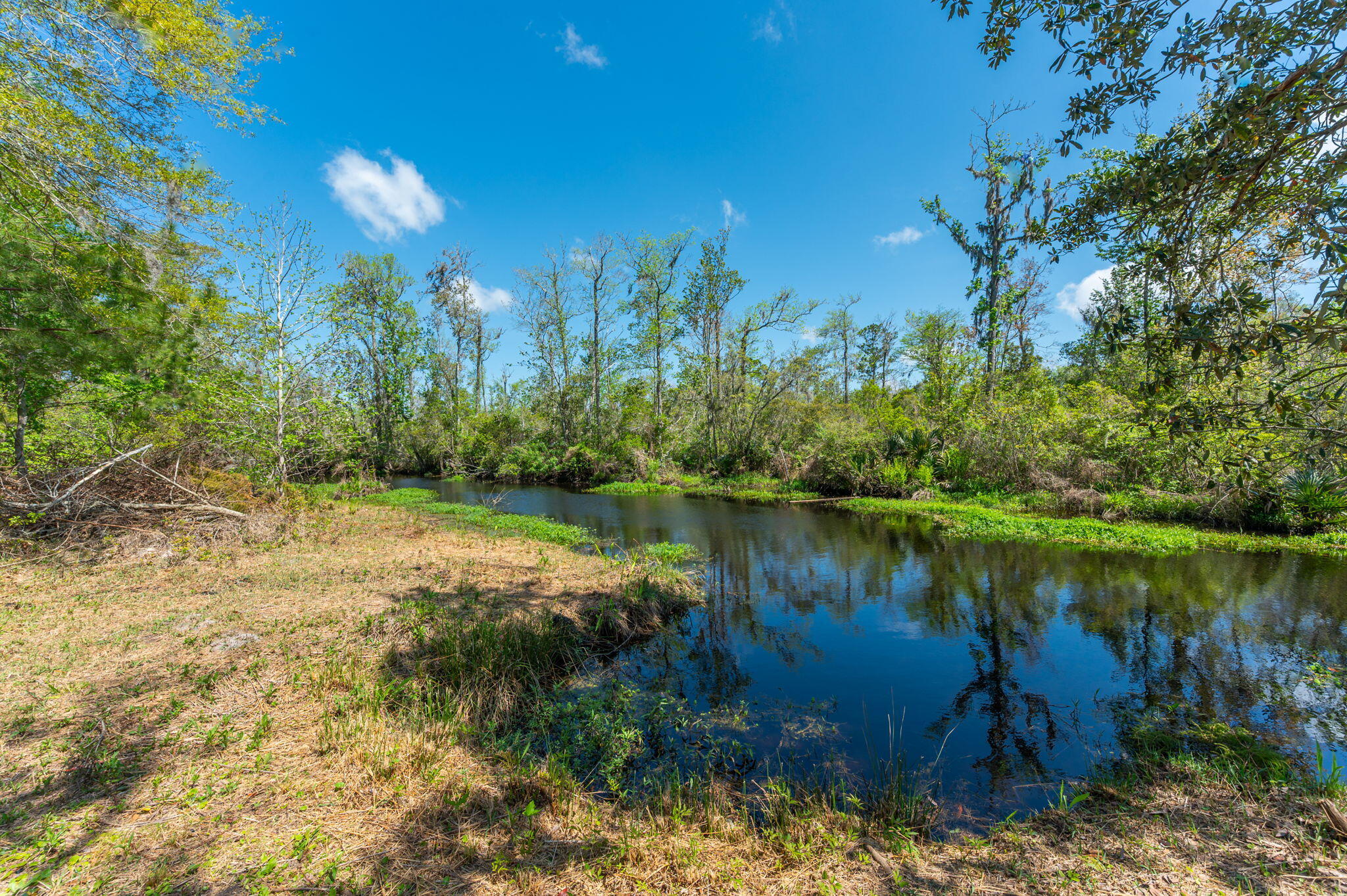 MAGNOLIA BAY - Residential