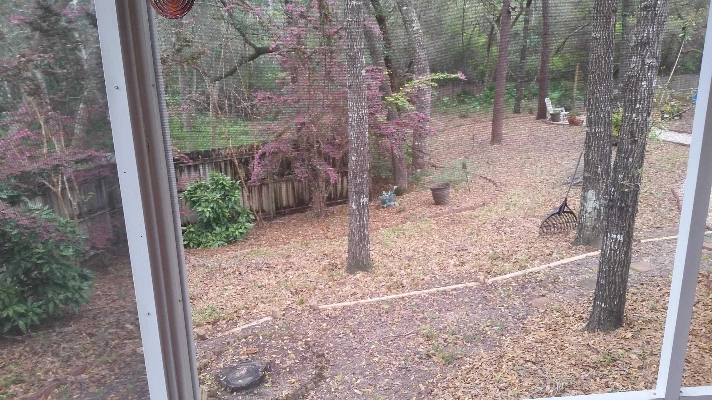 ROCKY BAYOU T/H - Residential