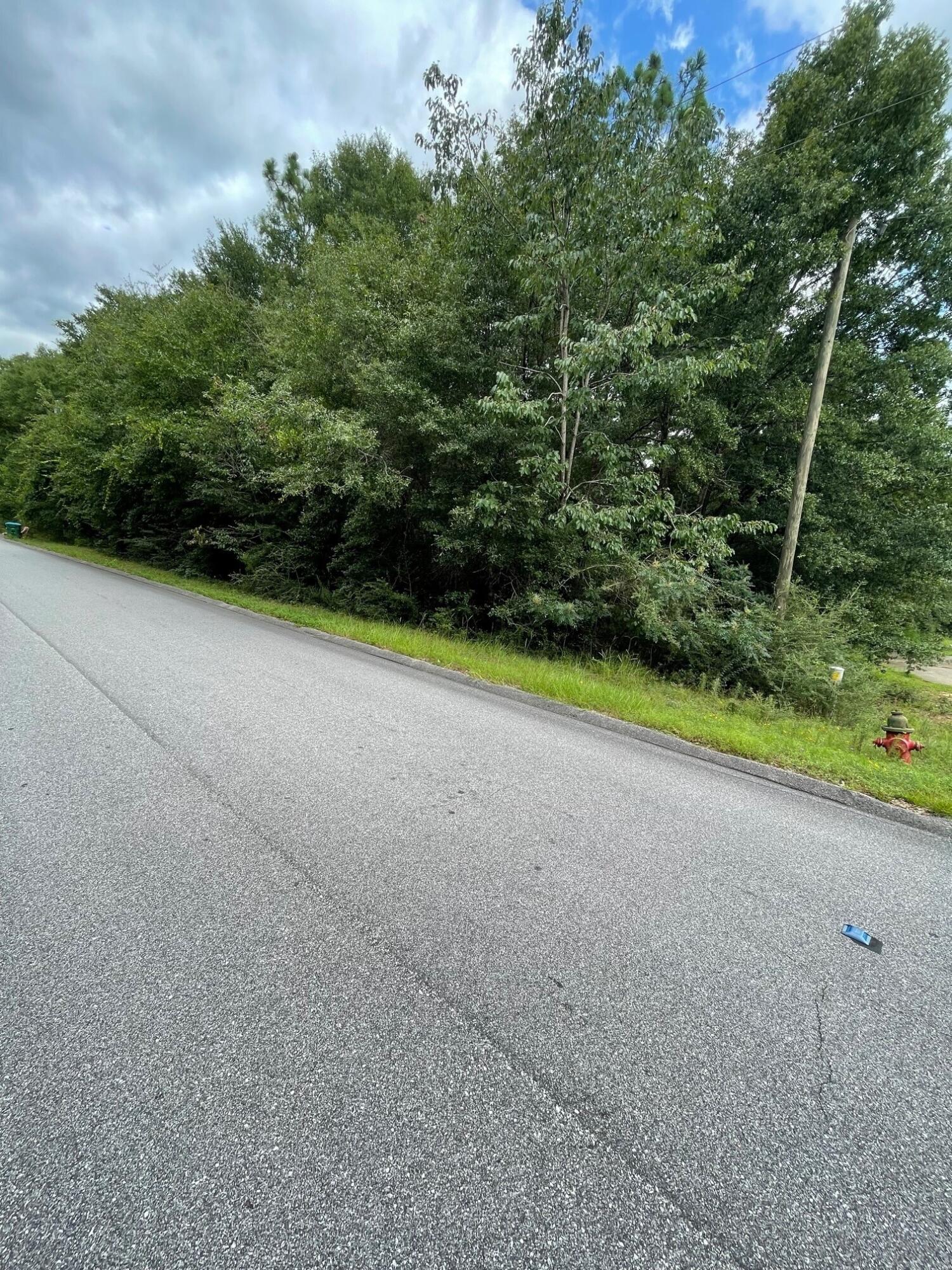 Over 3/4 acre wooded lot in the desirable community of Kennedy Lakes! Right away you will notice this is an established community with exceptional pride of ownership. The current owner has a survey and a soil test. This is the property that you have been waiting for, so call today before someone else makes it theirs!
