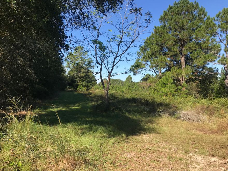 Gorgeous acreage is the quiet area of Mossy Head, FL. Great for home, hunting or just fun. Their is a well on the property as well. Gate is next to the the blue water tower on Hwy 1087 ( second water tower).