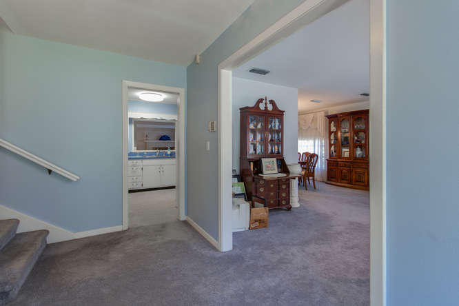 VILLA RUSS PARK - Residential