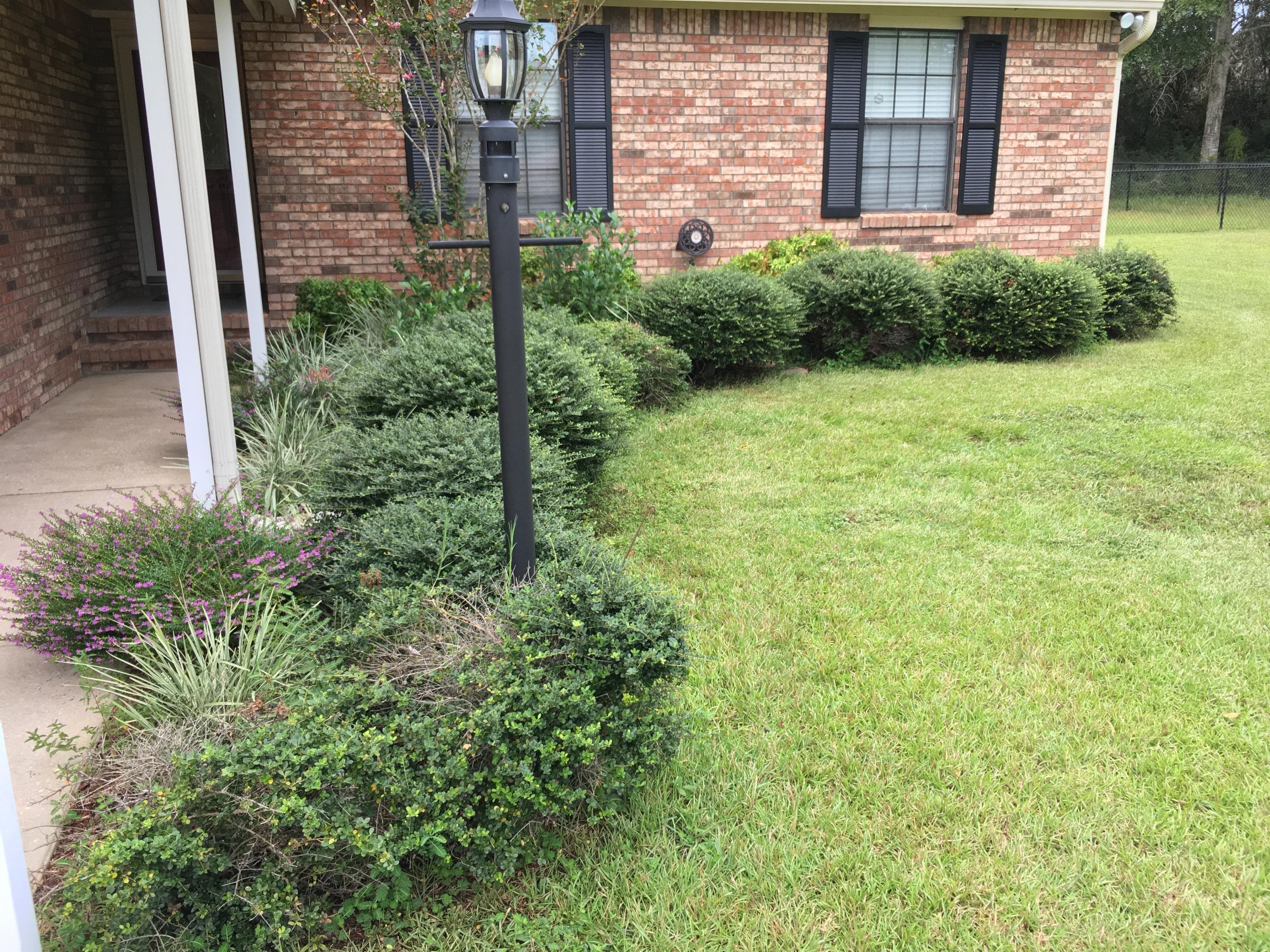 STAFFORD ESTATES - Residential