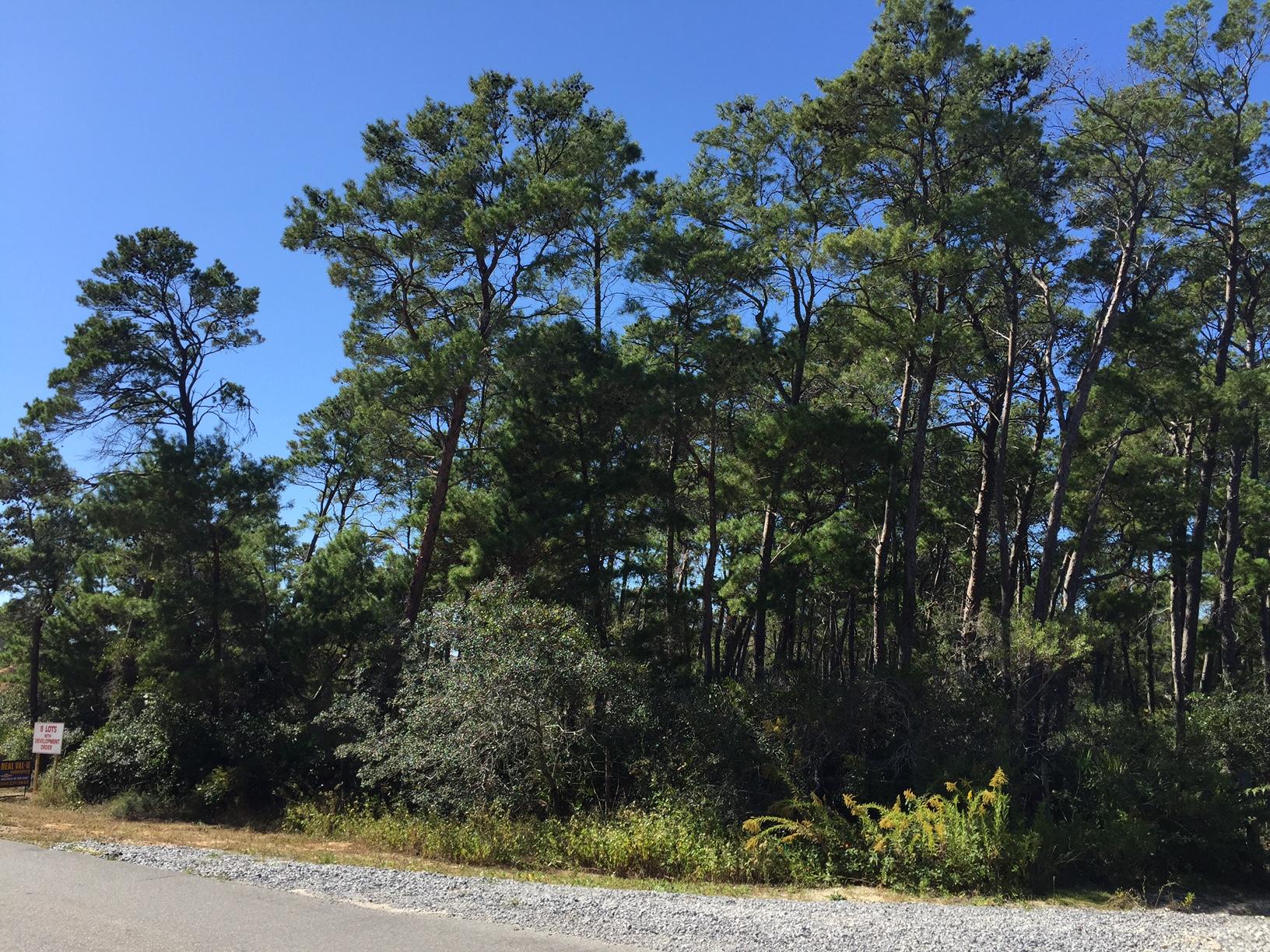 Sunset Key Cottages - Land