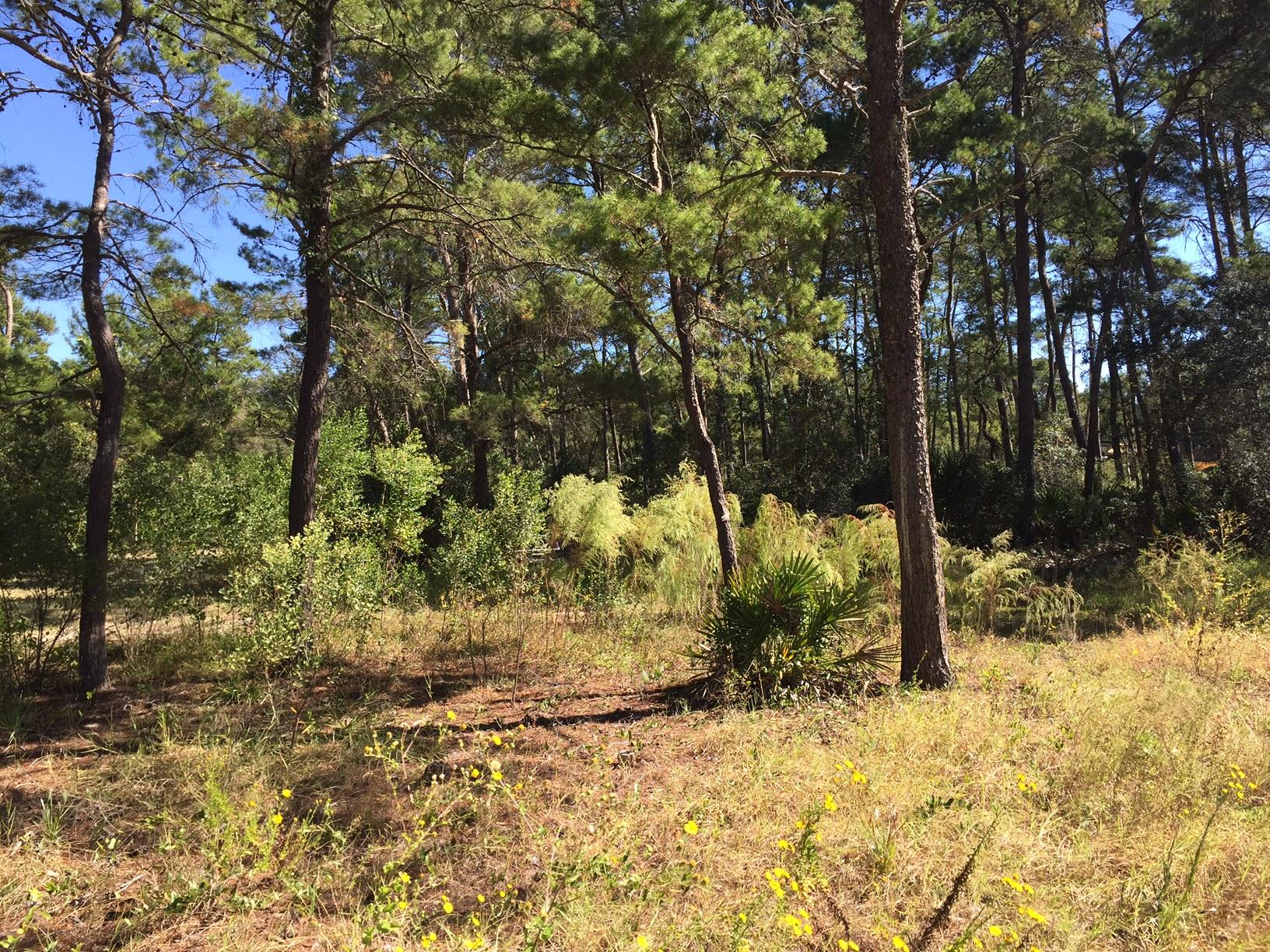 Sunset Key Cottages - Land
