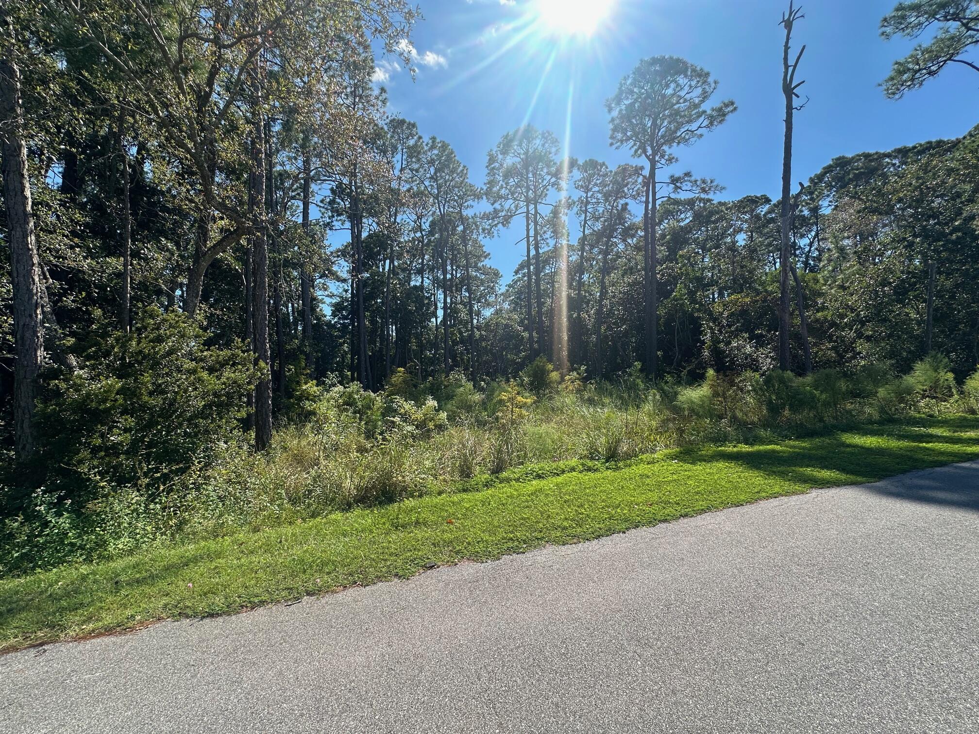 Nestled in a peaceful, wooded area, this vacant lot offers the perfect opportunity to build your dream home. With serene water views and a tranquil setting, it's the ideal location for those seeking privacy and a natural environment. Enjoy the freedom to design and build on your own terms in this picturesque locale. Drive by today to envision the possibilities, or show your clients this unique property!