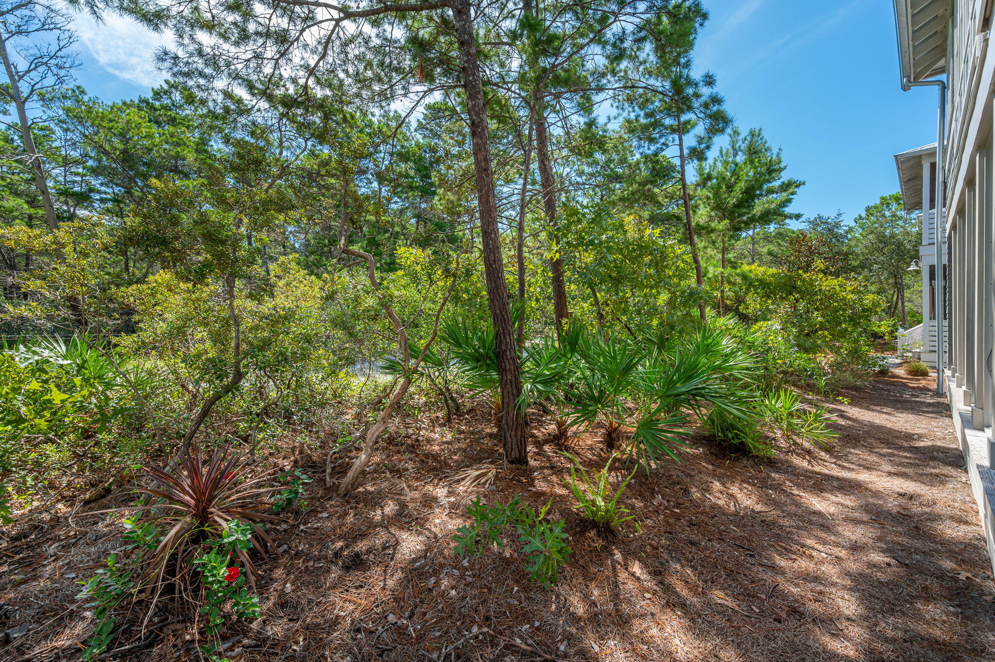 LAKESIDE AT BLUE MOUNTAIN BEACH - Residential