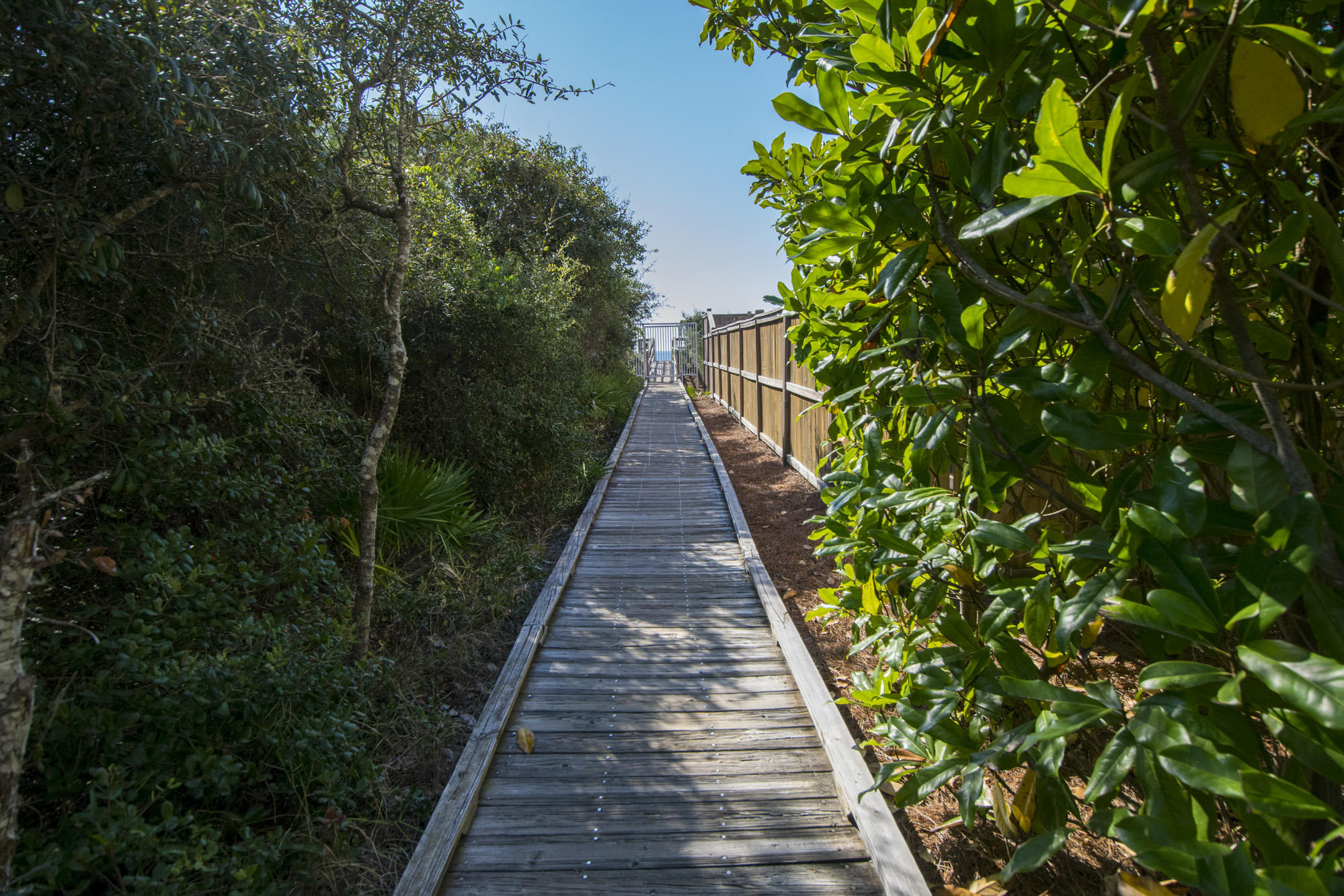 MAGNOLIA COTTAGES - Residential Lease