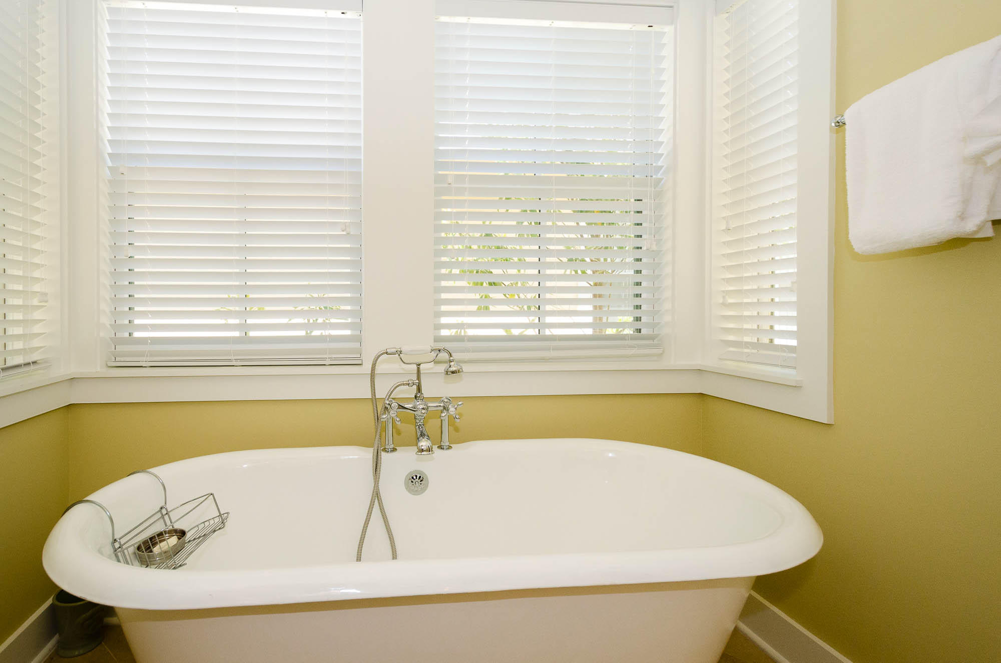 WATERCOLOR - Residential