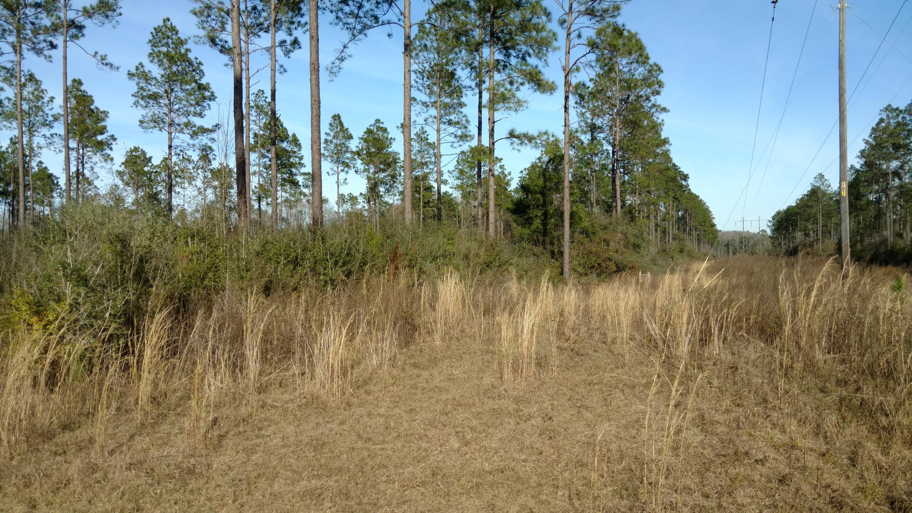 On a PAVED road with TIMBER that can be harvested!This is a great location for a farm house or retreat, or use the land for hunting (lots of deer and turkey) and fishing.